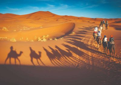 Desert Safari Dubai at Morning