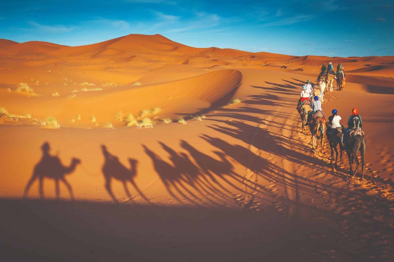 Desert Safari Dubai at Morning